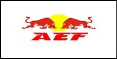 2 - AEF